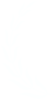 left branch